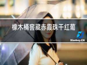 橡木桶窖藏赤霞珠干红葡萄酒多少钱