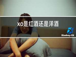 xo是红酒还是洋酒