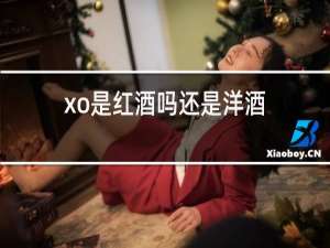 xo是红酒吗还是洋酒