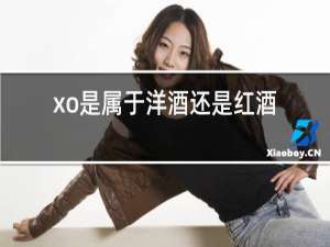 xo是属于洋酒还是红酒