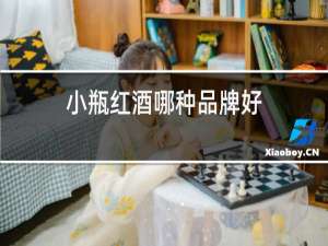 小瓶红酒哪种品牌好