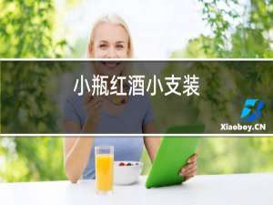 小瓶红酒小支装