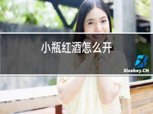 小瓶红酒怎么开