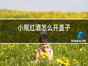 小瓶红酒怎么开盖子