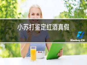 小苏打鉴定红酒真假