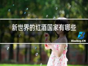 新世界的红酒国家有哪些