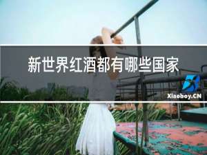 新世界红酒都有哪些国家