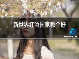 新世界红酒国家哪个好