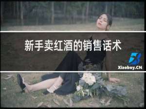 新手卖红酒的销售话术