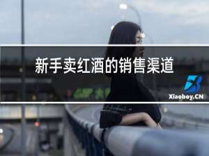 新手卖红酒的销售渠道