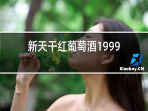 新天干红葡萄酒1999价