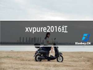 xvpure2016红酒多少钱一瓶