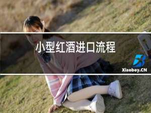 小型红酒进口流程