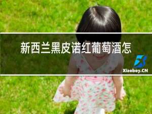 新西兰黑皮诺红葡萄酒怎么样