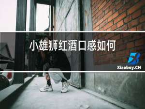 小雄狮红酒口感如何
