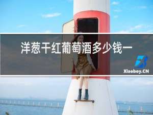 洋葱干红葡萄酒多少钱一瓶