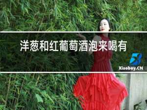 洋葱和红葡萄酒泡来喝有什么功效