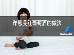 洋葱浸红葡萄酒的做法