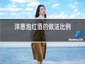 洋葱泡红酒的做法比例