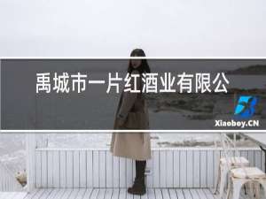 禹城市一片红酒业有限公司