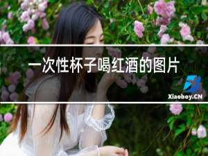 一次性杯子喝红酒的图片