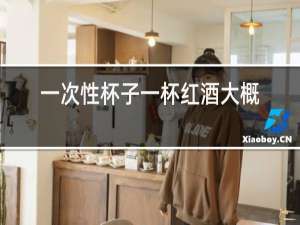 一次性杯子一杯红酒大概多少