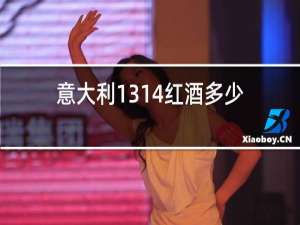 意大利1314红酒多少钱