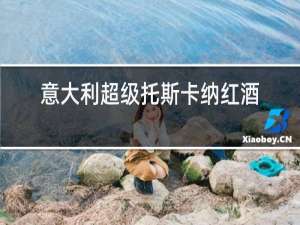 意大利超级托斯卡纳红酒