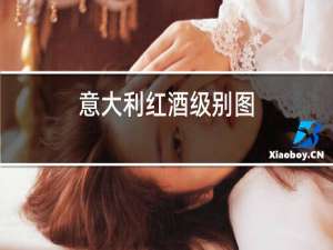 意大利红酒级别图