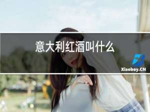 意大利红酒叫什么