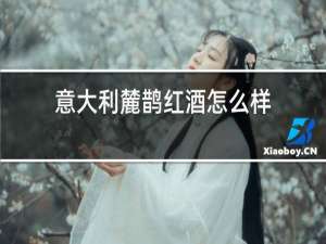 意大利麓鹊红酒怎么样