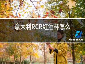 意大利RCR红酒杯怎么样