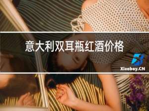 意大利双耳瓶红酒价格