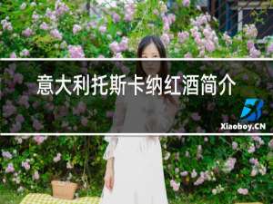意大利托斯卡纳红酒简介