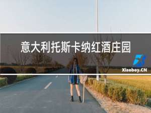 意大利托斯卡纳红酒庄园怎么样