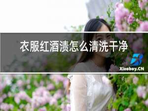 衣服红酒渍怎么清洗干净