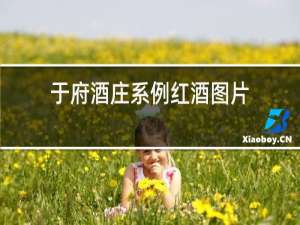 于府酒庄系例红酒图片
