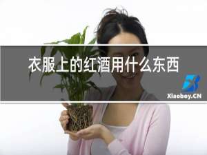 衣服上的红酒用什么东西洗