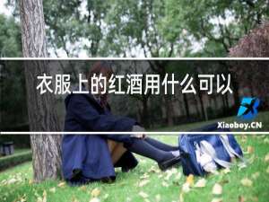 衣服上的红酒用什么可以洗下来