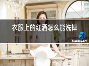 衣服上的红酒怎么能洗掉