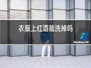 衣服上红酒能洗掉吗