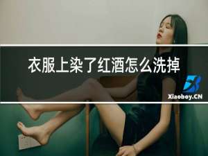 衣服上染了红酒怎么洗掉