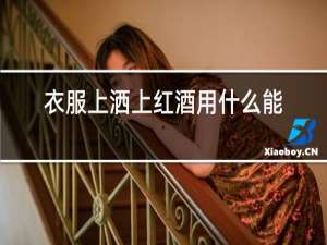 衣服上洒上红酒用什么能洗掉