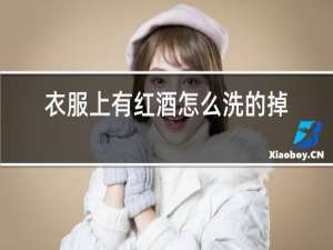 衣服上有红酒怎么洗的掉
