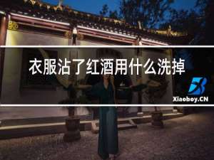 衣服沾了红酒用什么洗掉