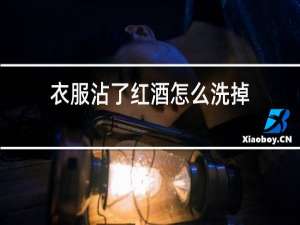 衣服沾了红酒怎么洗掉