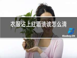 衣服沾上红酒渍该怎么清洗
