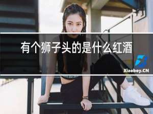 有个狮子头的是什么红酒