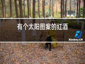 有个太阳图案的红酒