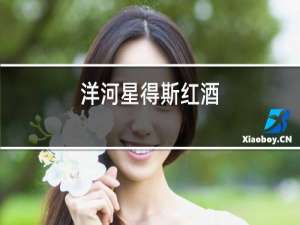洋河星得斯红酒